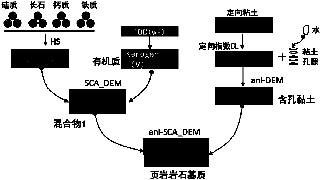 Shale anisotropic rock physical model modeling method