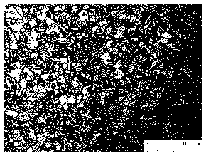 Metallographic corrosive liquid for bimetal composite pipe with transition layer and etching method of metallographic corrosive liquid