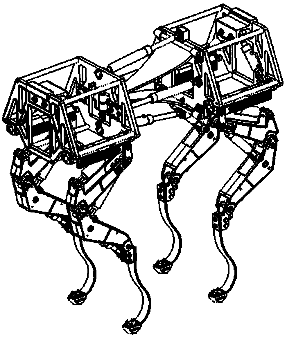 Flexible quadruped robot
