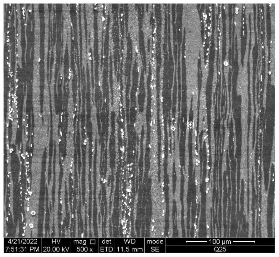 High-strength and high-plasticity duplex stainless steel for layered core and preparation method of high-strength and high-plasticity duplex stainless steel