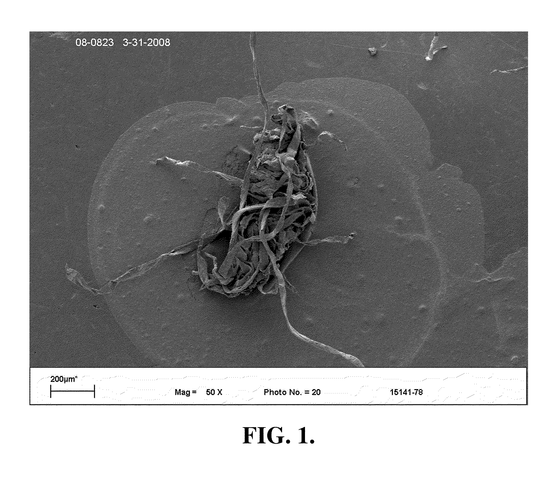 Fibers having biodegradable superabsorbent particles attached thereto