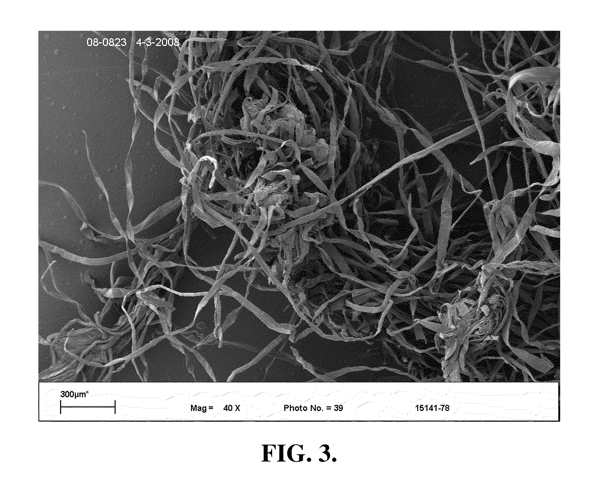 Fibers having biodegradable superabsorbent particles attached thereto