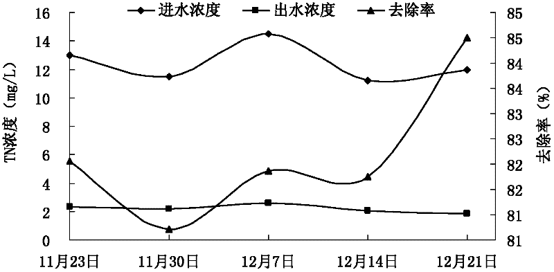 Application of dieffenbachia picta lodd in treatment of livestock and poultry raising biogas slurry