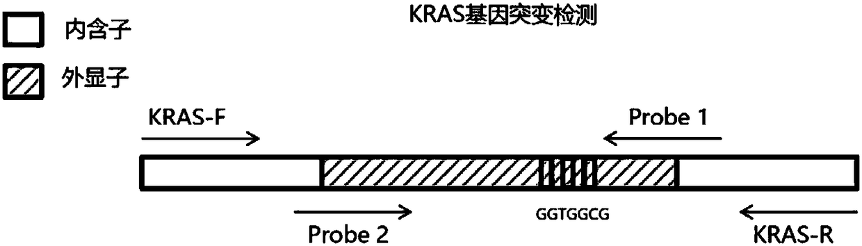 Method and system for determining colorectal tumor cells on basis of KRAS and NDRG4 genes