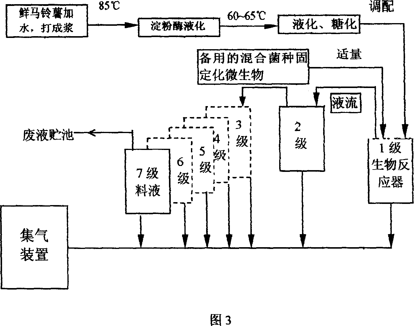 Series-parallel multi-stage compounding apparatus and method for producing hydrogen by biomass continceous fermentation