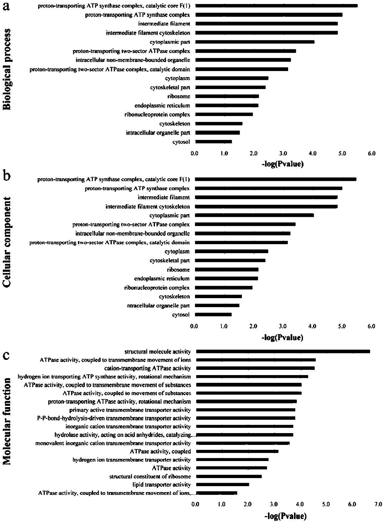 A method for analyzing differentially expressed proteins associated with neuronal injury