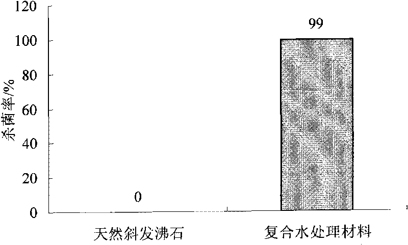 Denitrification dephosphorization antibacterial composite water treatment material used for water reclamation