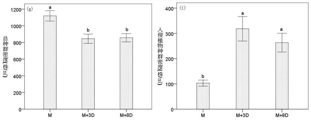 Sowing method for promoting stable recovery of Qinghai-Tibet plateau vegetation and sowing device