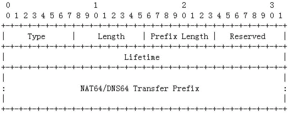 The method of delivering the nat64 address prefix using the routing advertisement carrying option