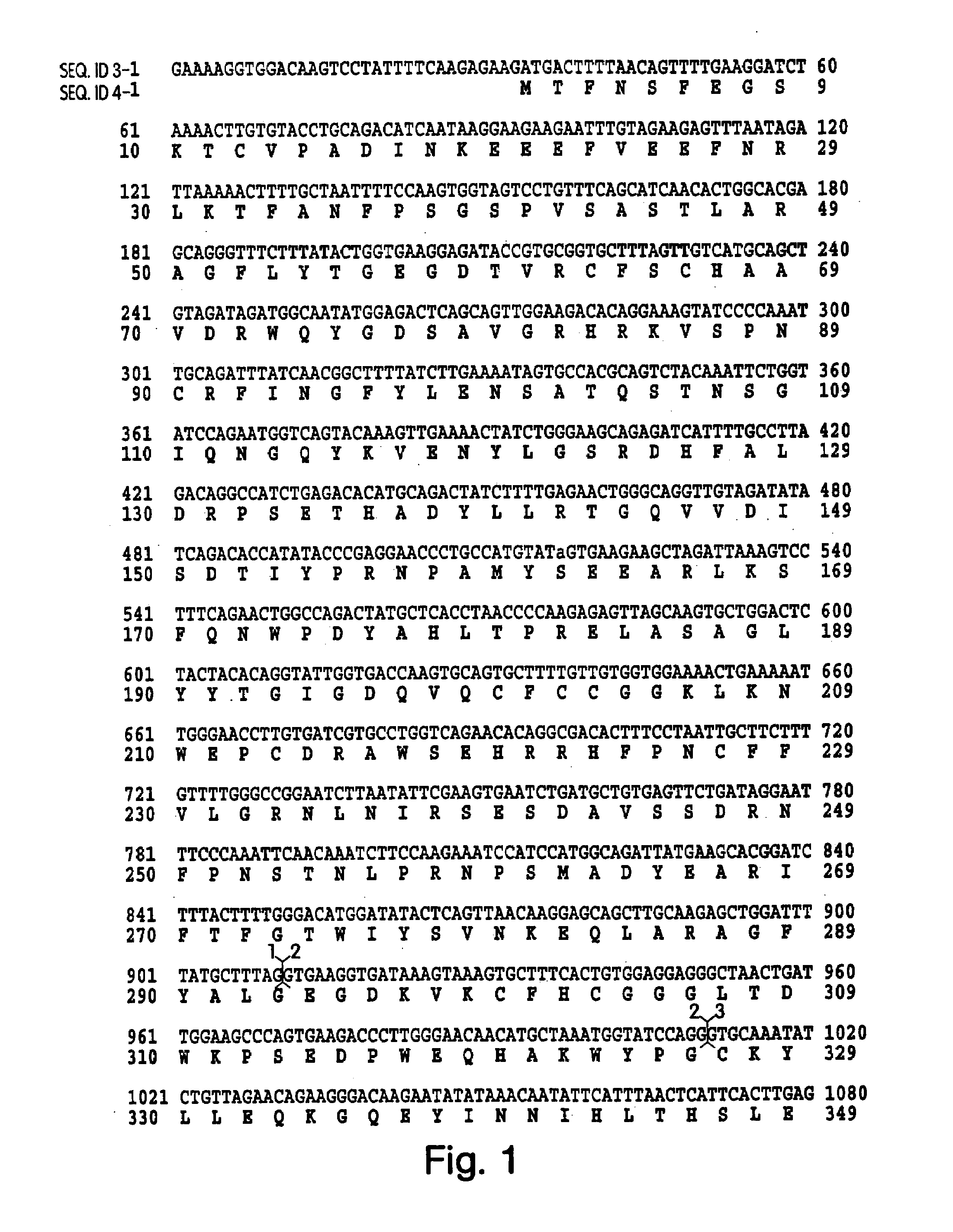 Detection and modulation of IAPs and NAIP for the diagnosis and treatment of proliferative disease