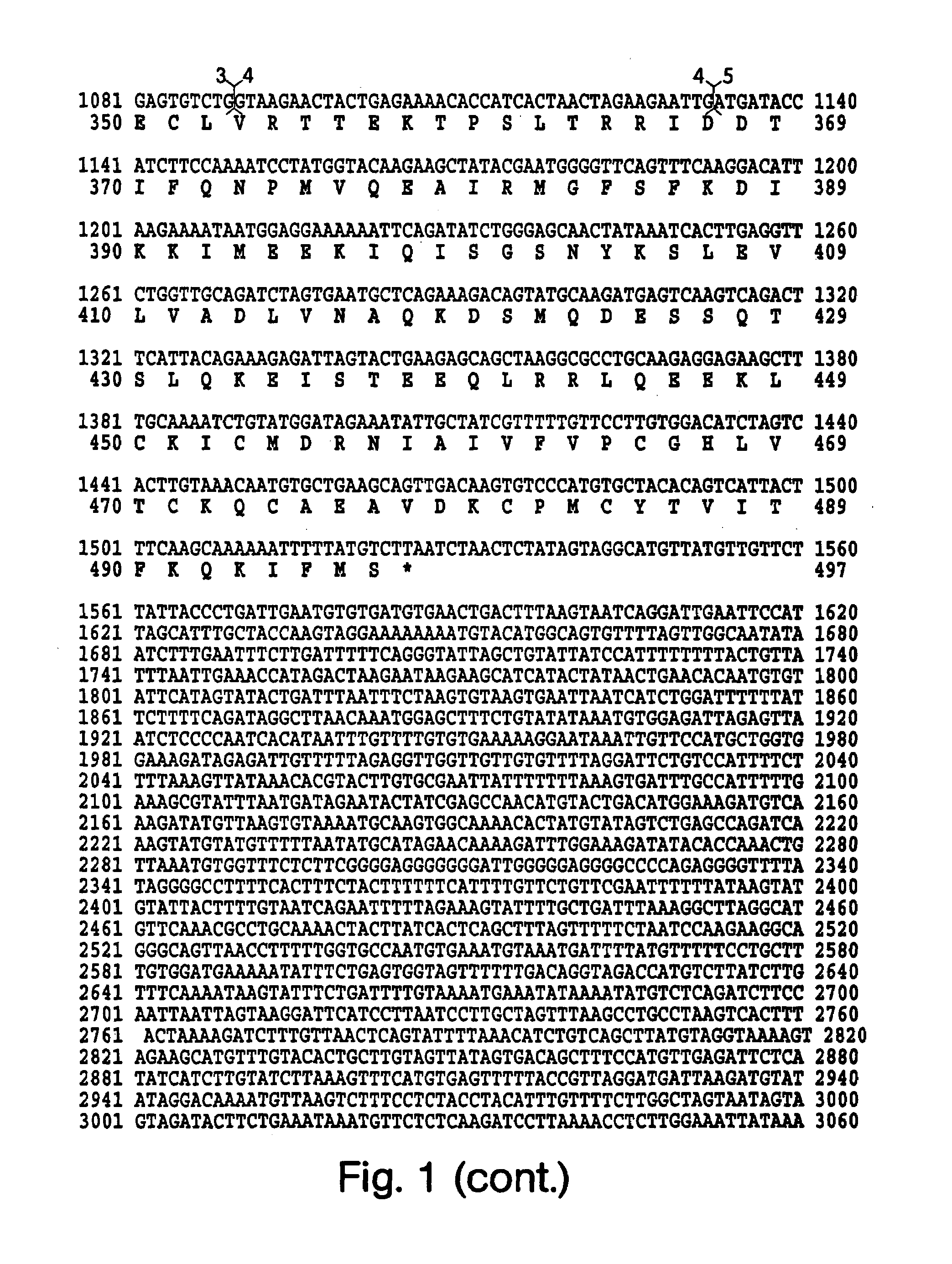 Detection and modulation of IAPs and NAIP for the diagnosis and treatment of proliferative disease