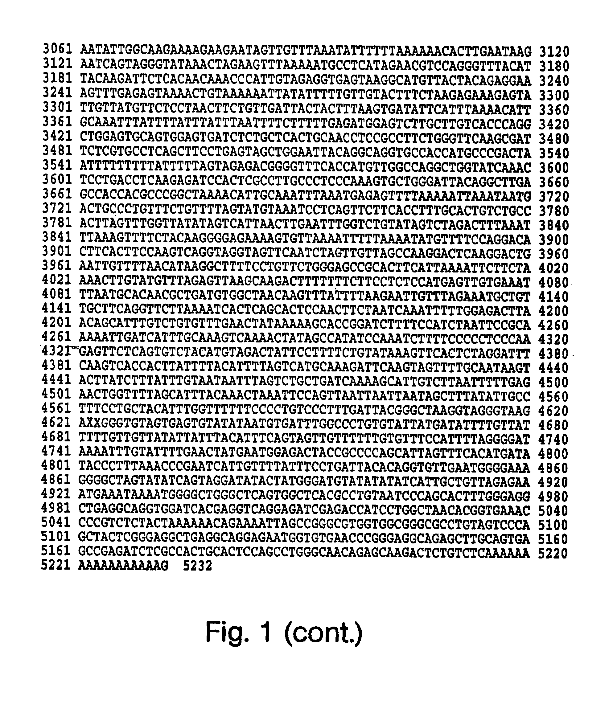 Detection and modulation of IAPs and NAIP for the diagnosis and treatment of proliferative disease