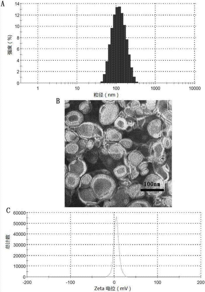 Drug-carrying liposome modified by antimicrobial peptide and preparation method and application thereof
