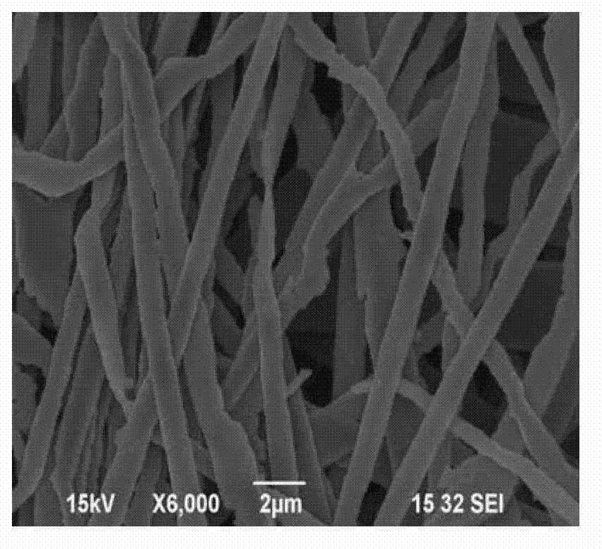 Method for preparing nano-structure single crystal silver