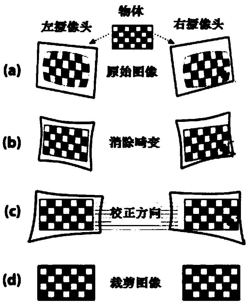 Method, system and storage medium for counting sea urchin quantity in sea water