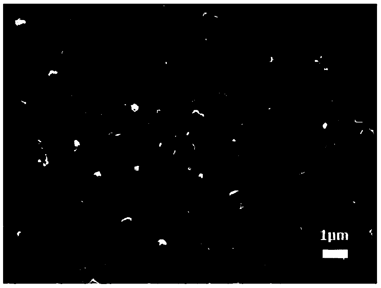 A kind of magnetron sputtering to prepare lithium battery electrode material fese  <sub>2</sub> thin film method