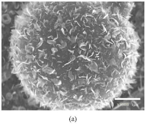 Preparation method of vertically-grown rhenium disulfide nanosheet