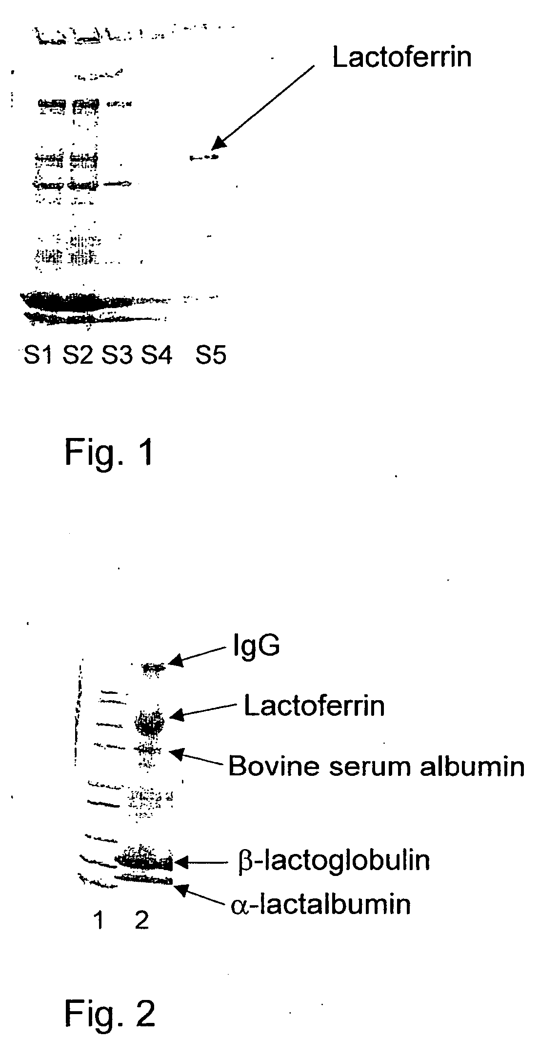 Process of isolating lactoferrin