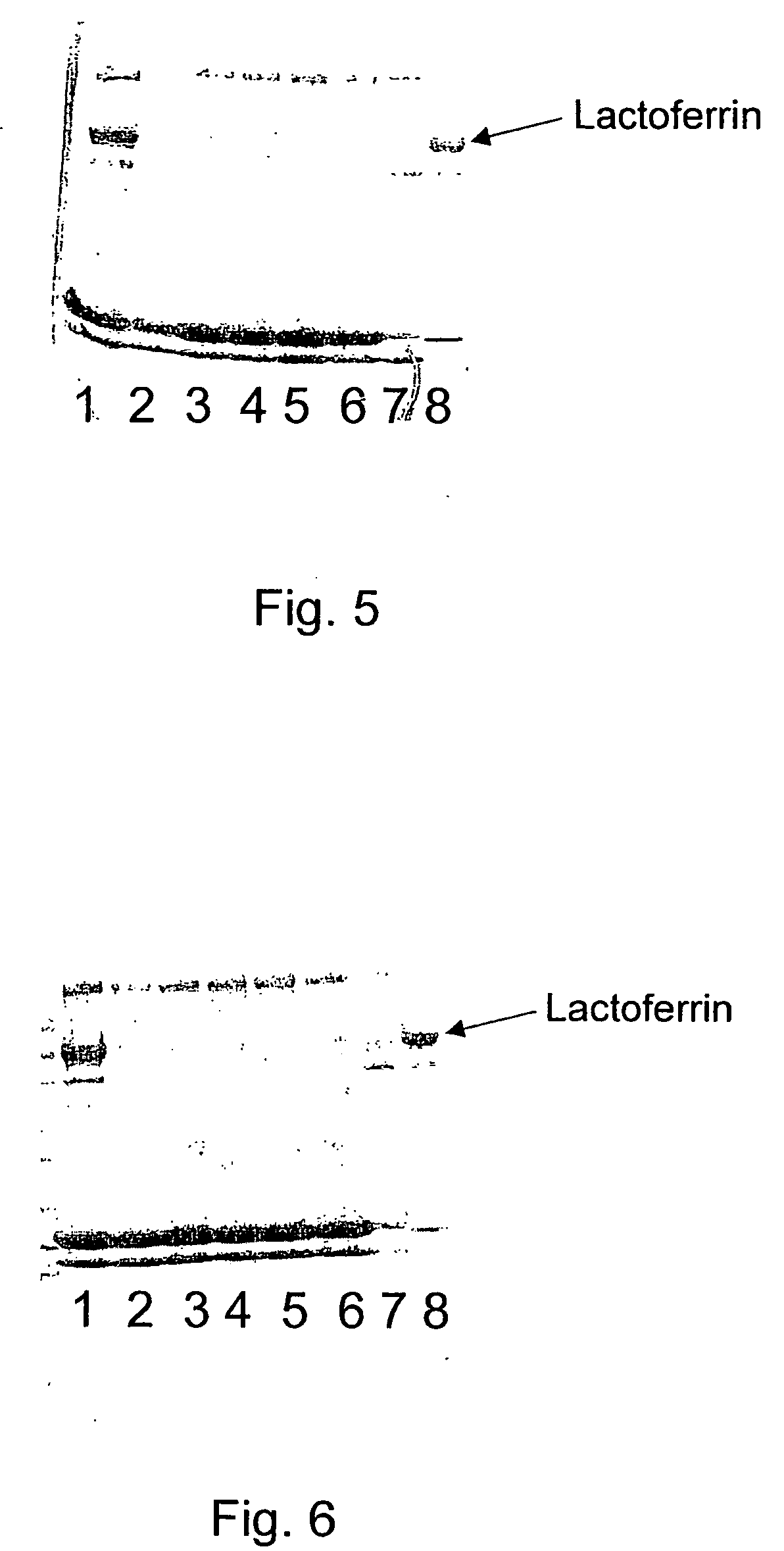 Process of isolating lactoferrin