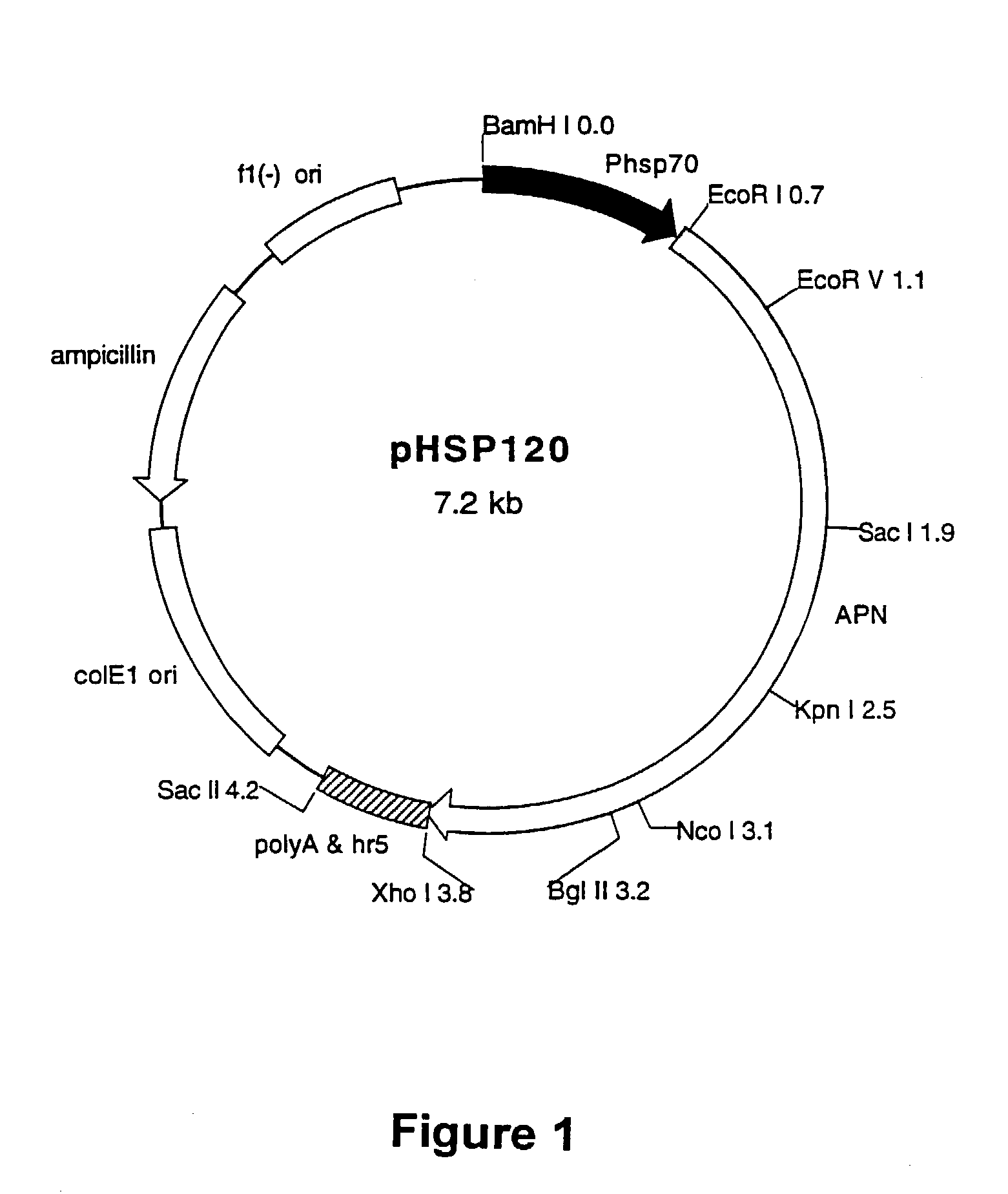 Methods and materials for identifying novel pesticide agents