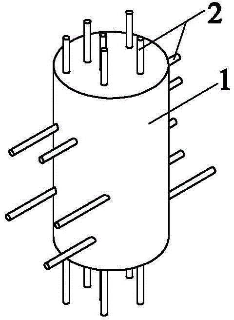 Animal-derived nerve scaffold and preparation method thereof