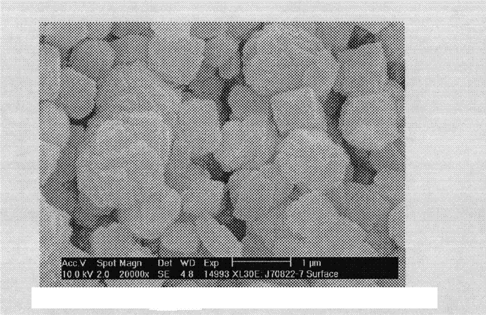 Adhesive-free zeolite catalyst and preparation method thereof