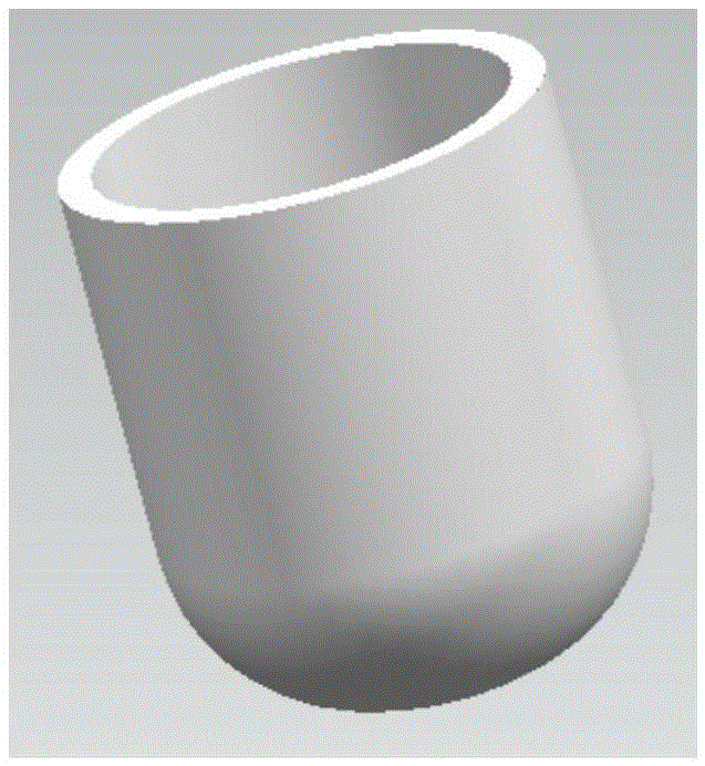 A kind of nano-silver diatomite antibacterial filter element and preparation method thereof