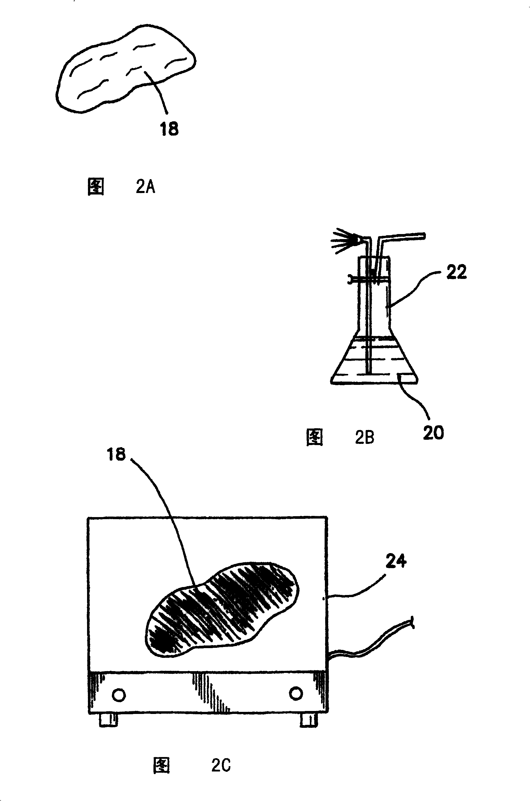 Apparatus for preventing adhesions between an implant and surrounding tissues