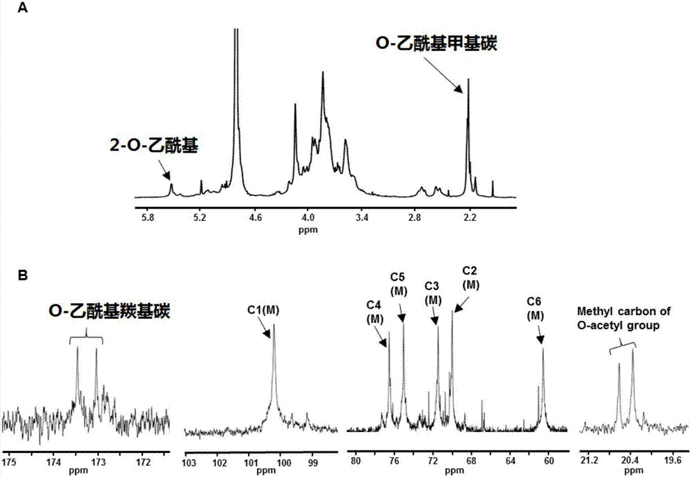 Dendrobium-devonianum-paxt-dried-stem polysaccharide and preparing method and application thereof