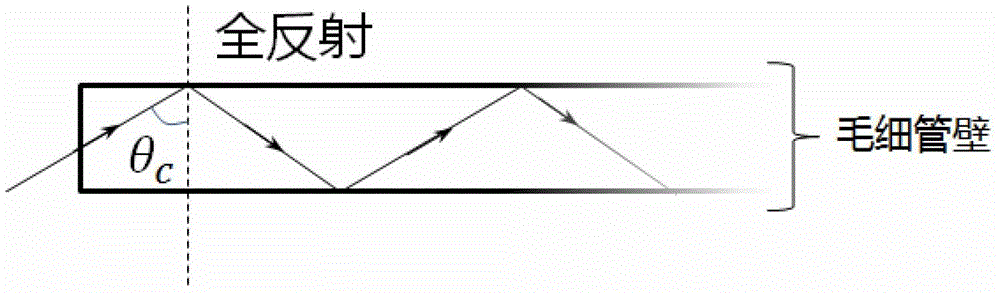 Fluorescence type glucose capillary biosensor