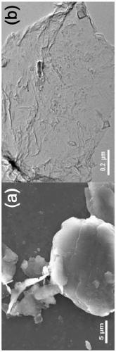 Ultrathin black phosphorene non-metal promoter material, as well as preparation method and composite material of ultrathin black phosphorene non-metal promoter material