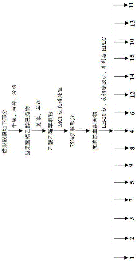 Traditional Chinese medicine extract and composition capable of resisting cerebral ischemia and preparation and application thereof