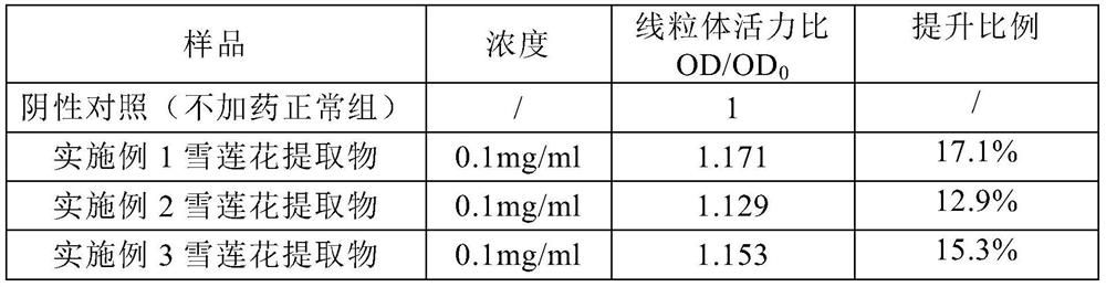 The promoting effect of snow lotus extract on the vitality of skin cells and its application in skin external preparations