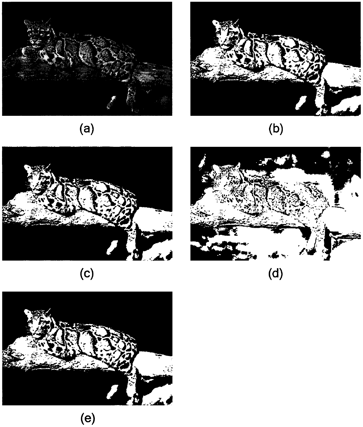 Image Segmentation Method Based on Hybrid Bipartite Graph Clustering Ensemble