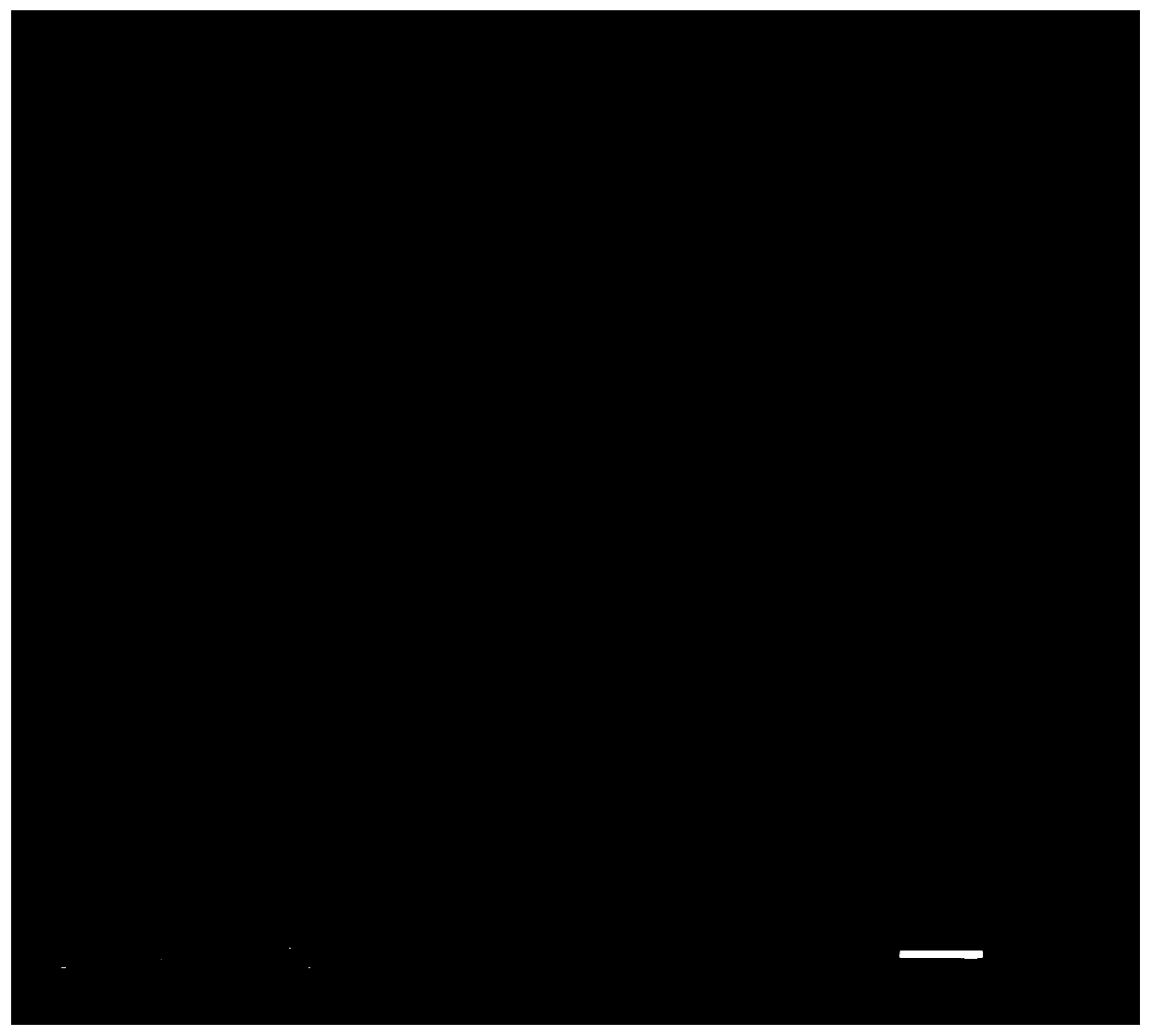 A kind of preparation method of waste zinc-manganese battery-biomass adsorbent