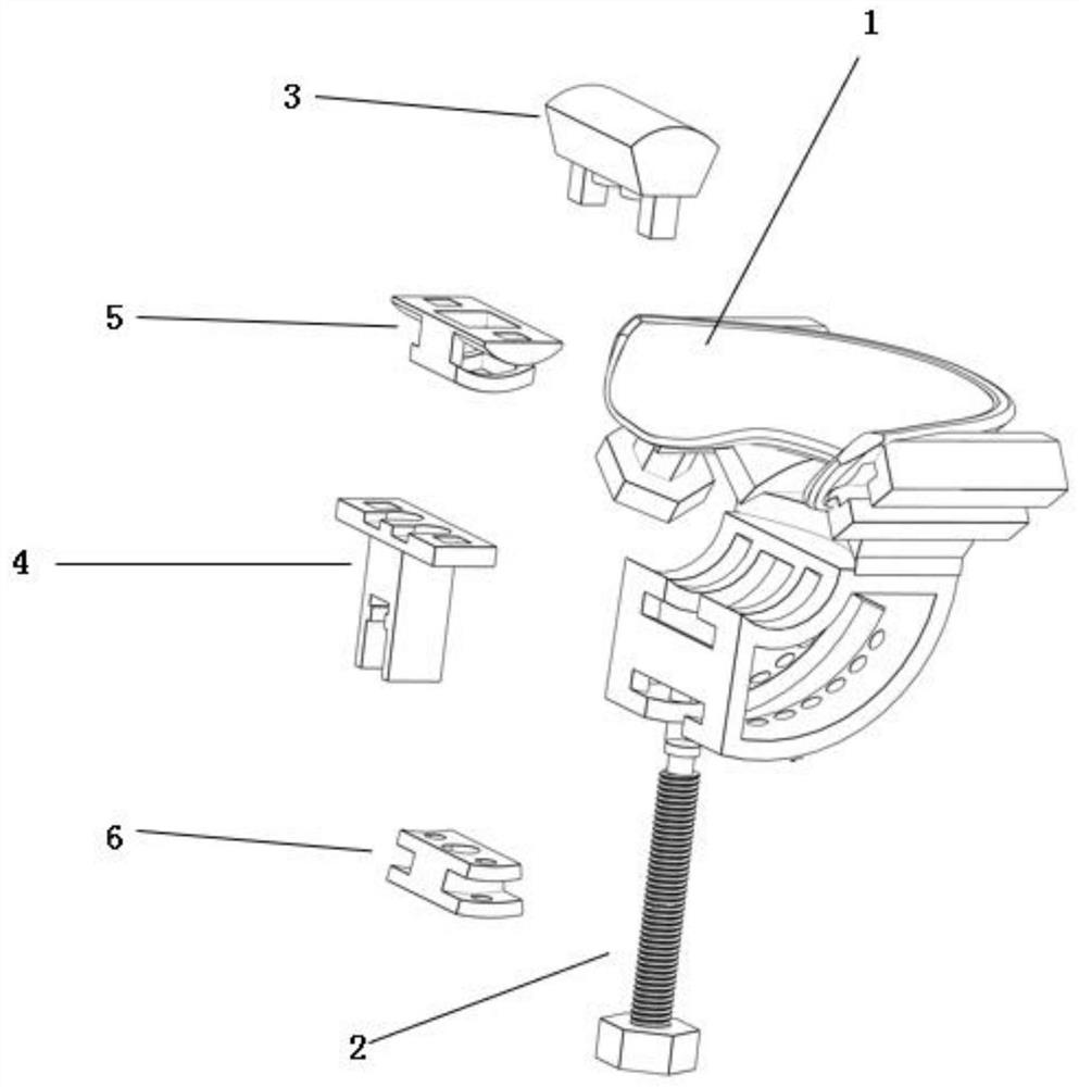 Human body mandibular triangular area force application device in a nuclear magnetic environment