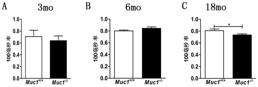 Application of mucoprotein MUC1 to preparation of drug with lung aging delaying effect