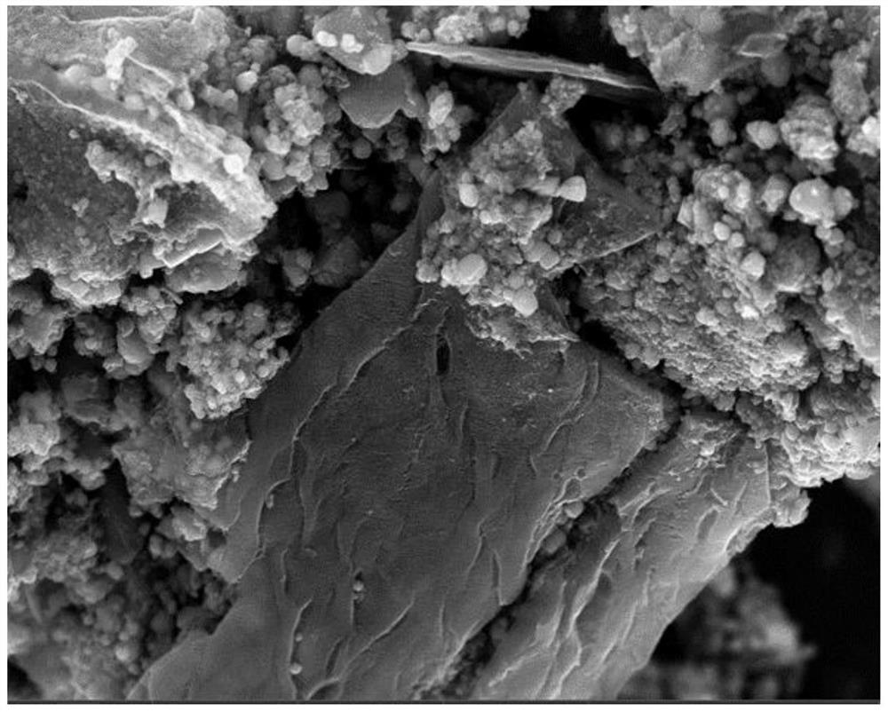 Method for preparing biochar bimetallic catalyst and lignin fluorescent carbon dots through straw grading and water treatment application of biochar bimetallic catalyst and lignin fluorescent carbon dots