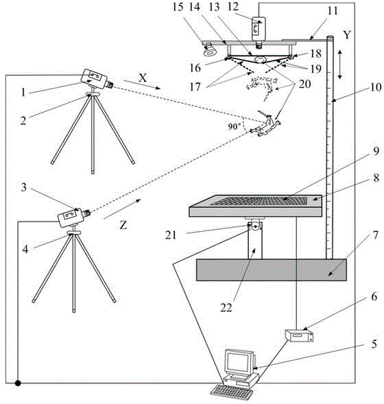 Test system and method for gecko aerial statue adjusting and landing motions