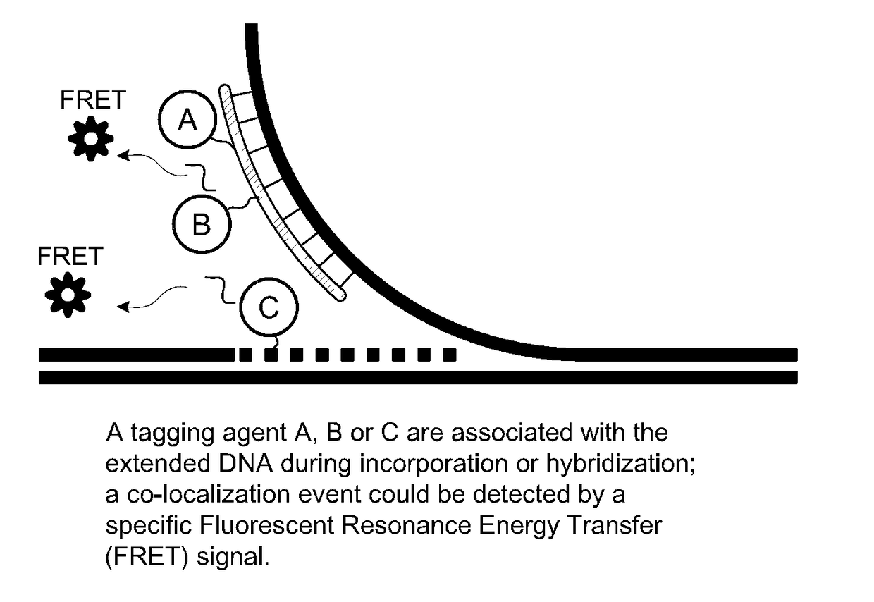 Methods and devices for single-molecule whole genome analysis