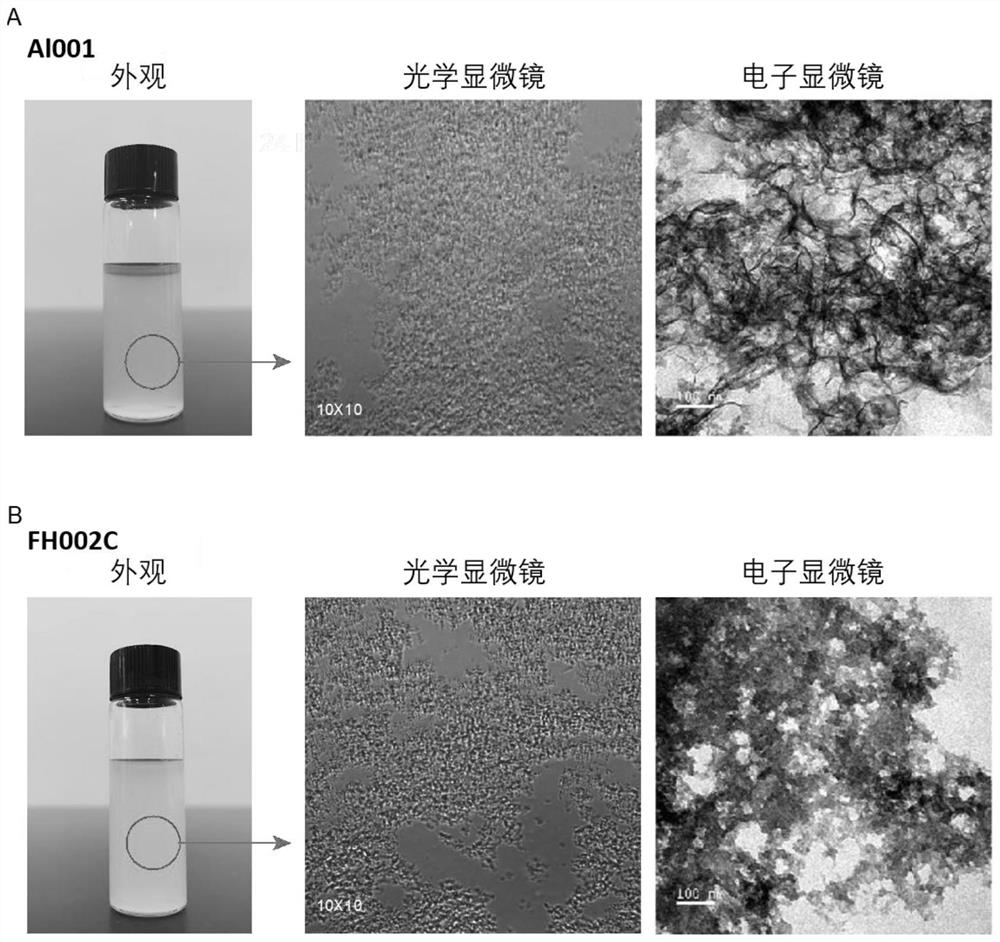 Adjuvant containing risedronate zinc aluminum and application thereof