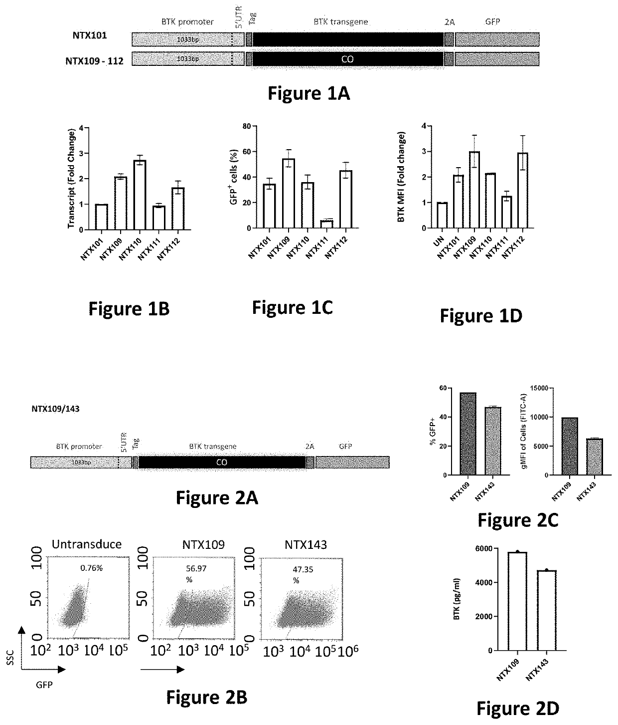 Lentiviral vectors for therapeutic expression of btk in haematopoietic cells