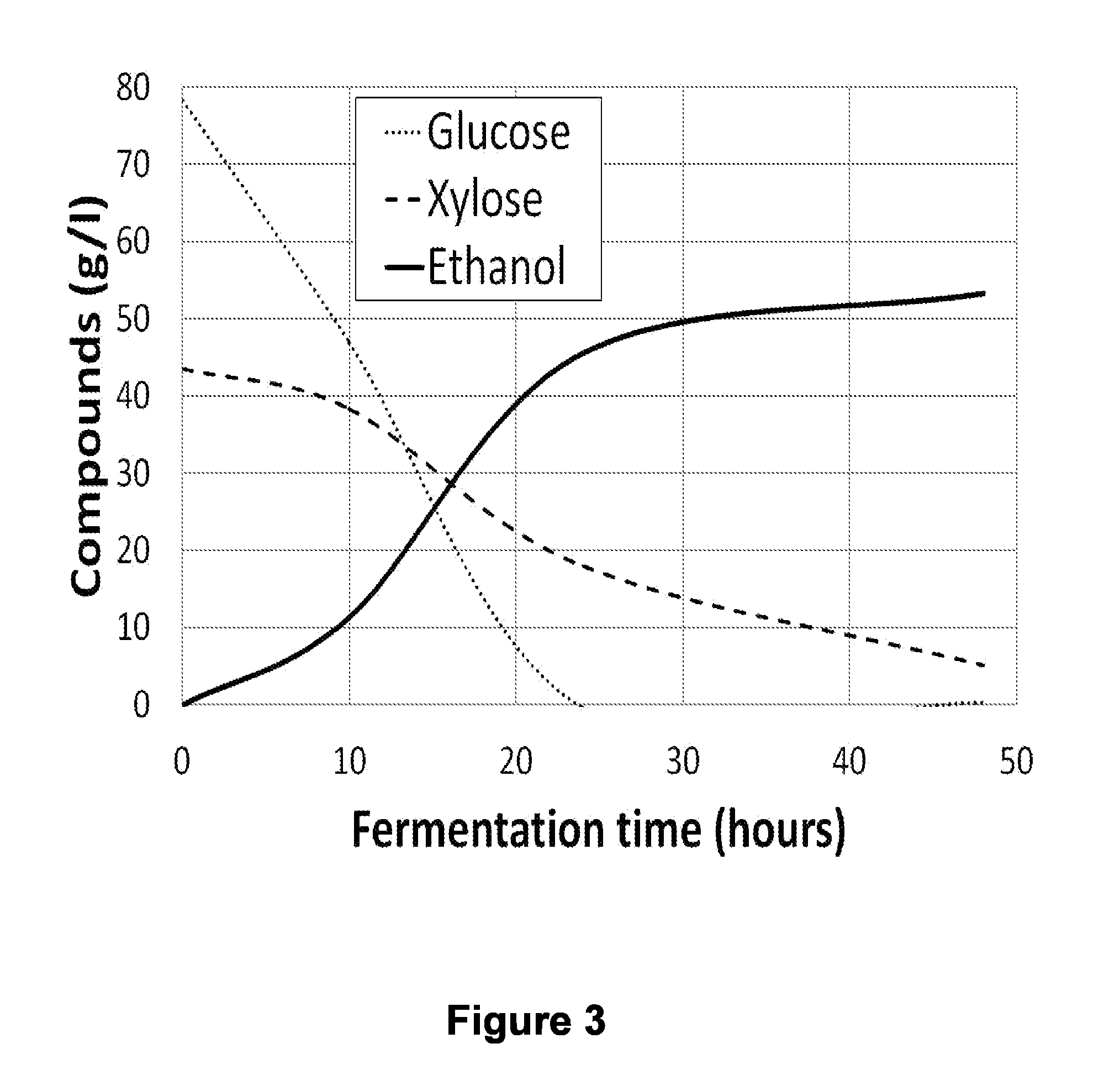 Continuous process for the production of ethanol from lignocellulosic biomass