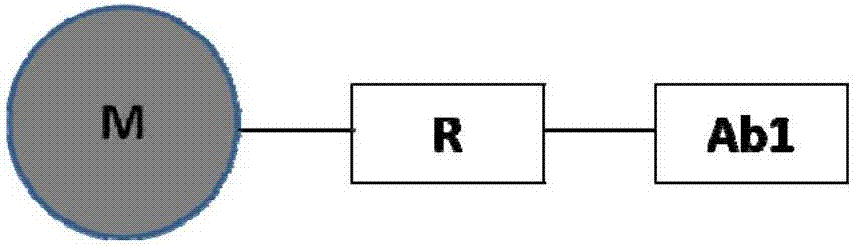 Flow detection reagent for human anti-Mullerian hormone, preparation method of flow detection reagent and application