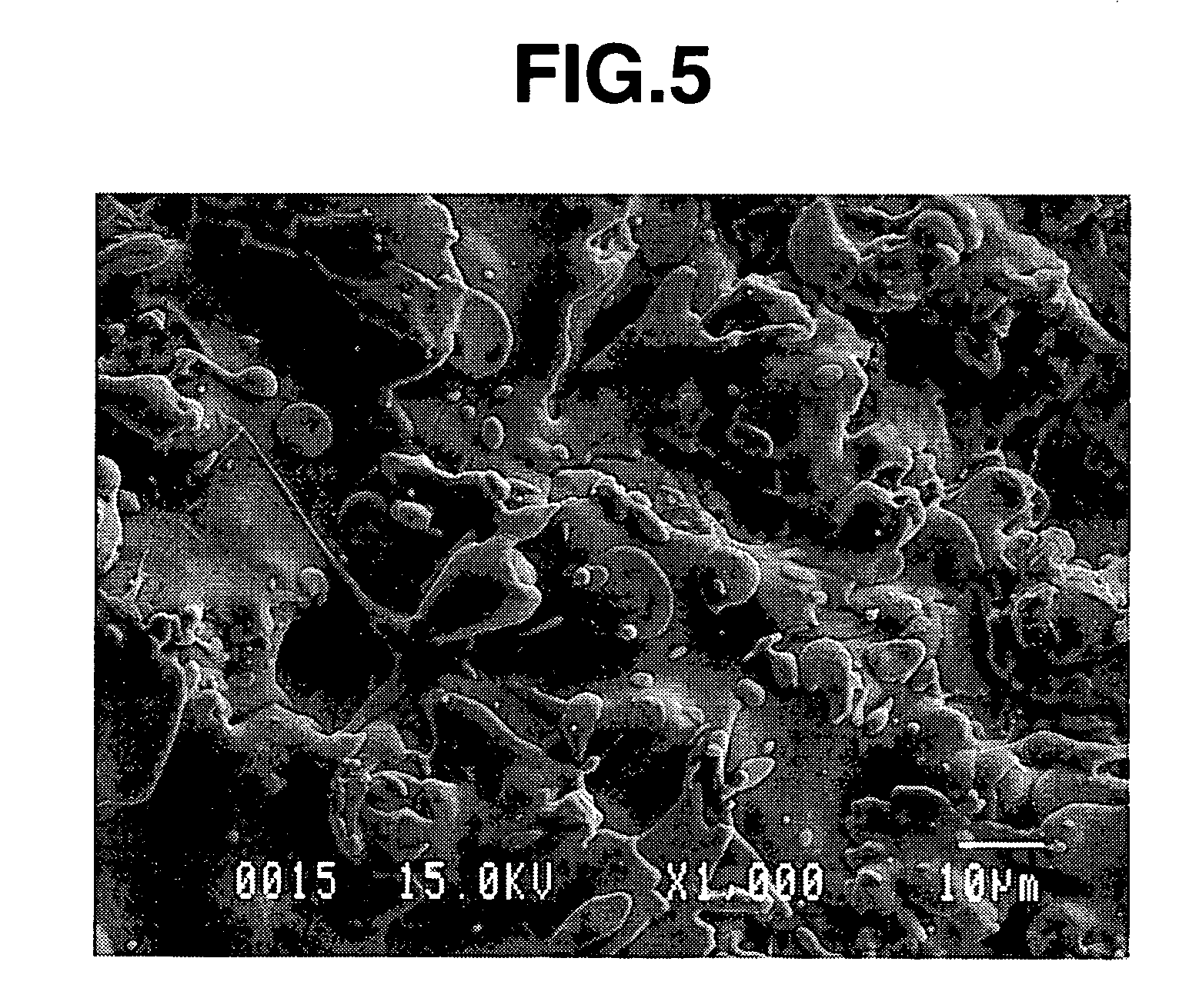 Fluoride-containing coating and coated member