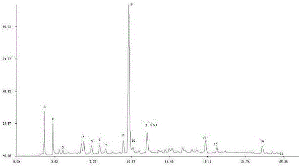 Fingerprint detection method and standard fingerprint of Zizhu nudiflora medicinal materials, intermediates and their preparations