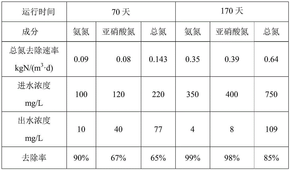 Device and method for gathering anaerobic ammonium oxidation bacteria