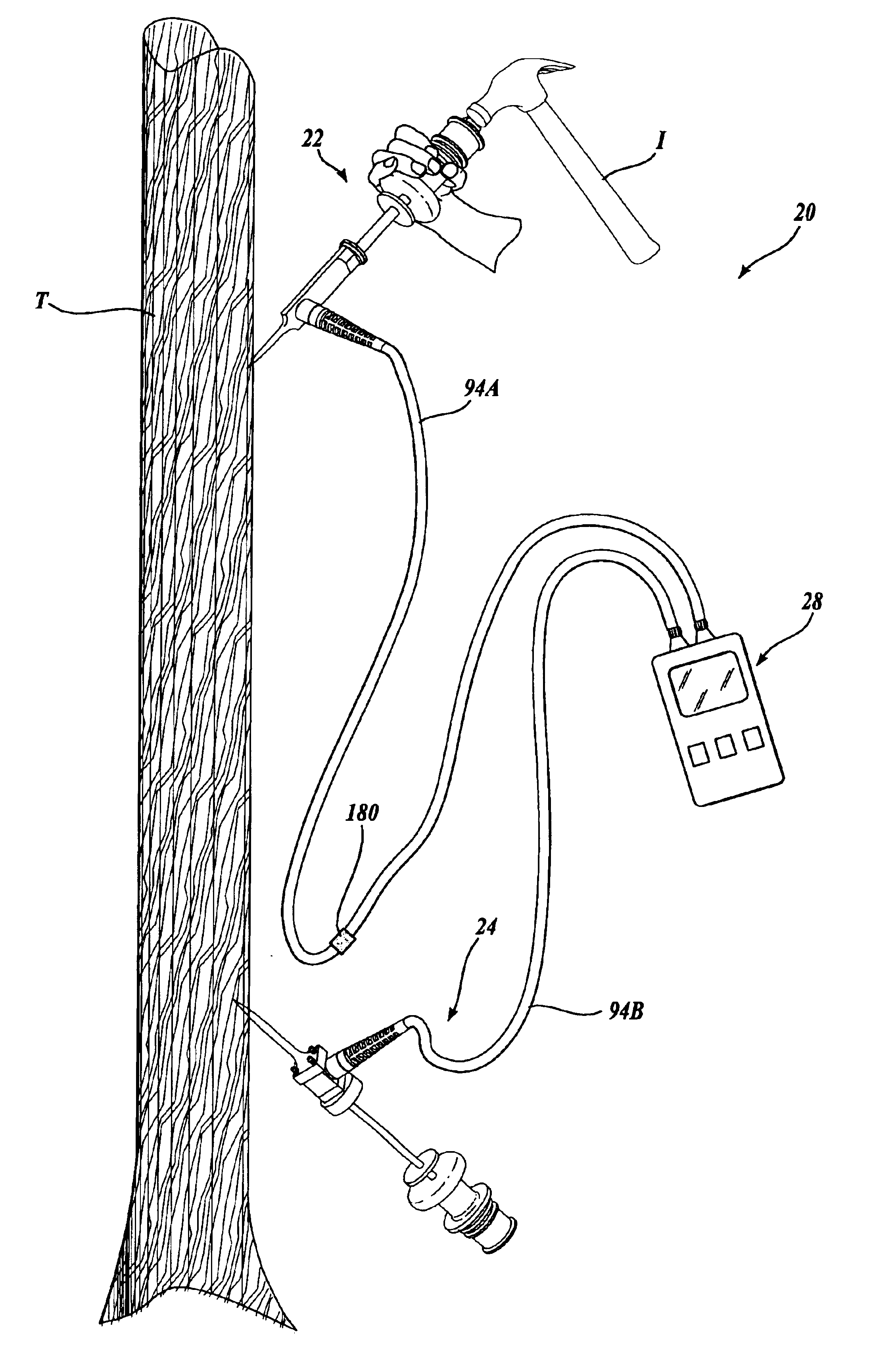 System and method for measuring stiffness in standing trees