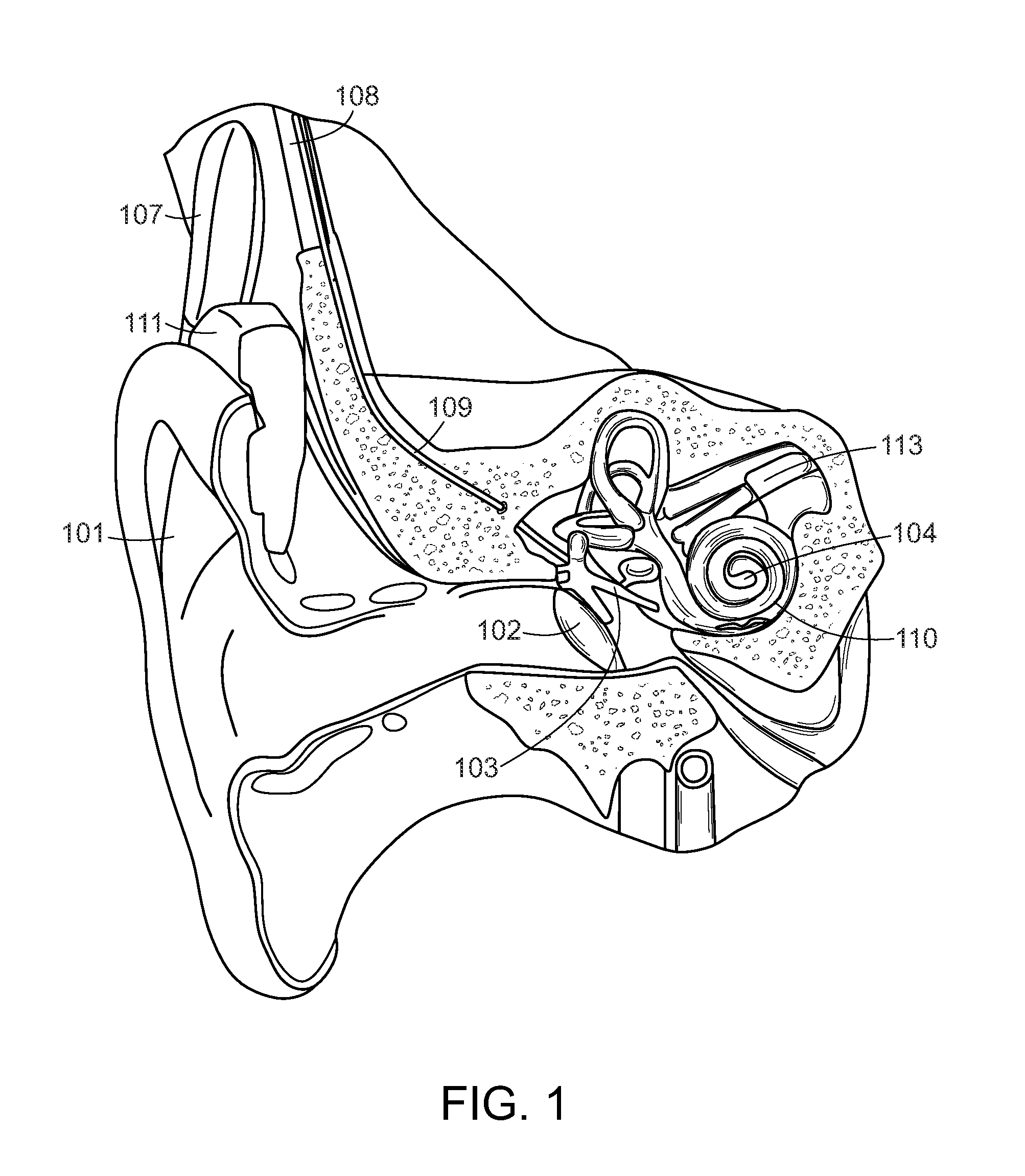 Skull Vibrational Unit