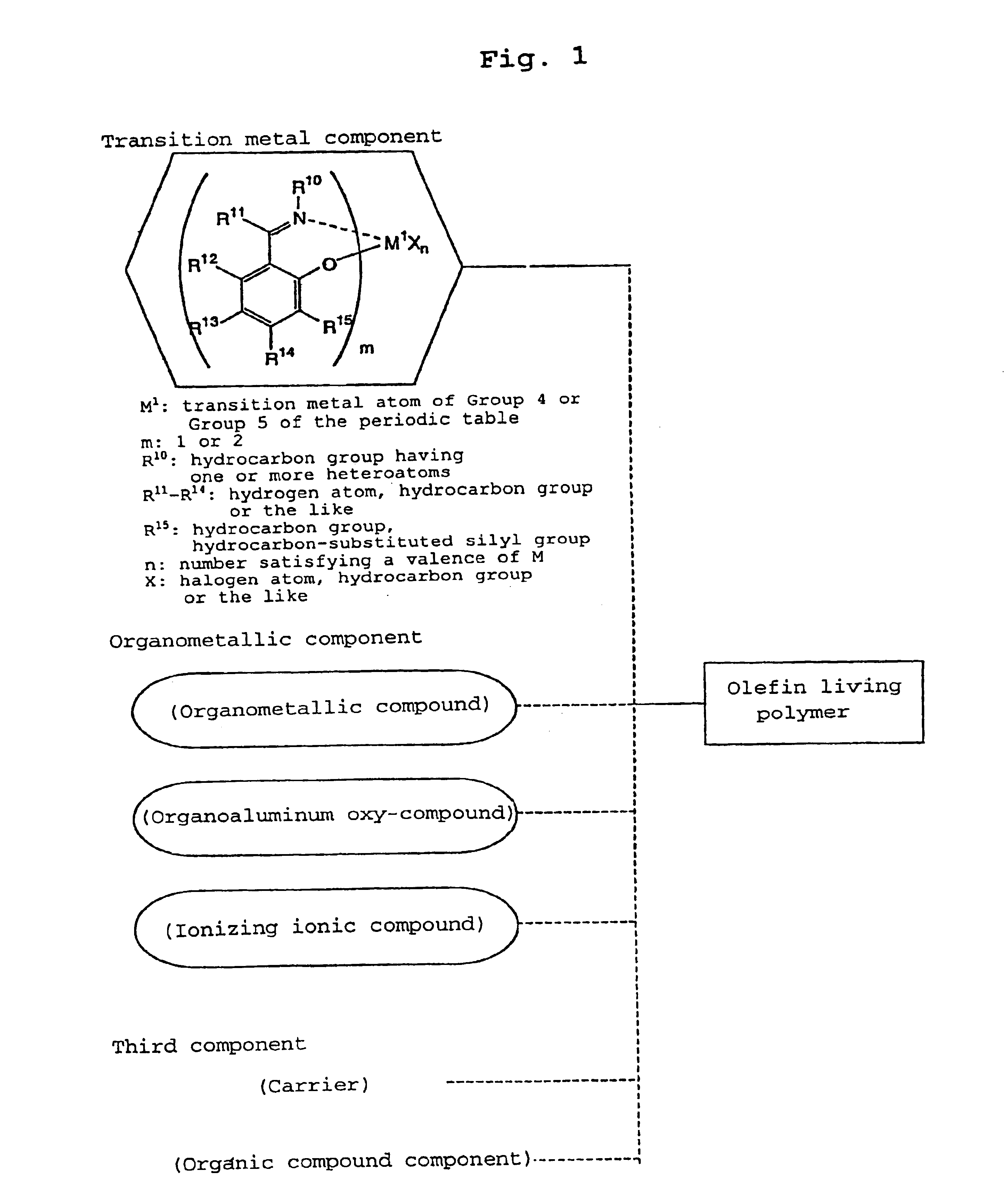 Olefin polymer and production processes thereof